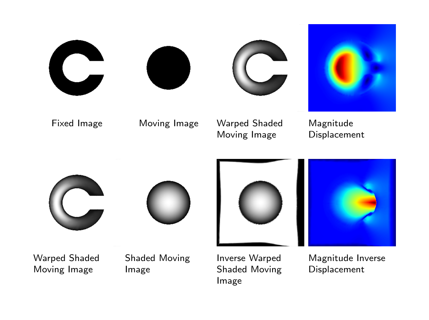 Diffeomorphic Transformations